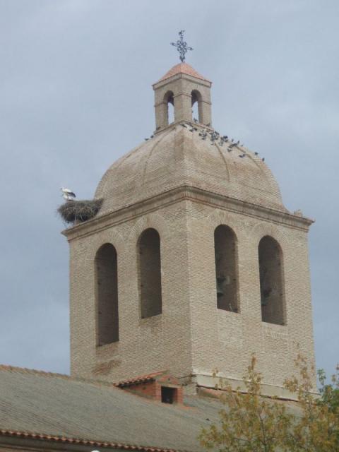 La Torre, vista desde la alameda