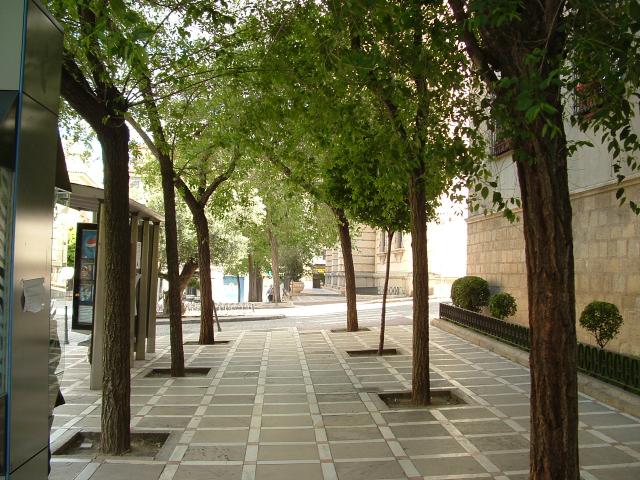Plaza Santa Maria 1