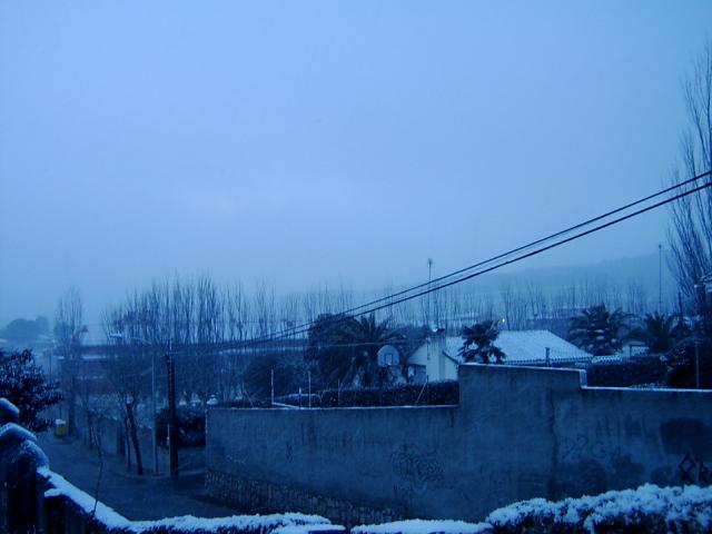 nevada