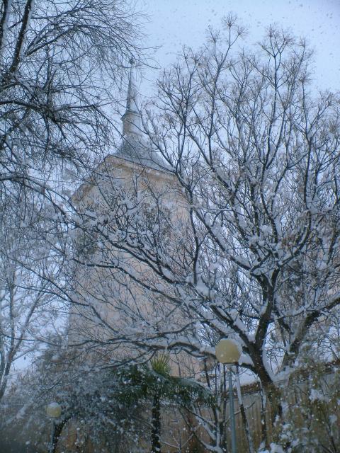 Nieve 26-01-2007