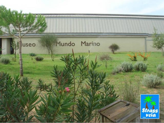 Museo Mundo Marino