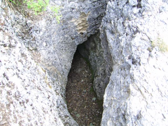 cueva de los murcielagos