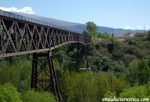 Puente de Drcal