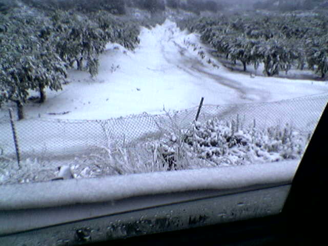 nieve en San Miguel