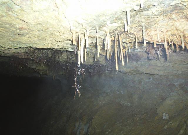 cuevas de Corraln