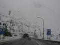 nevada año 2008