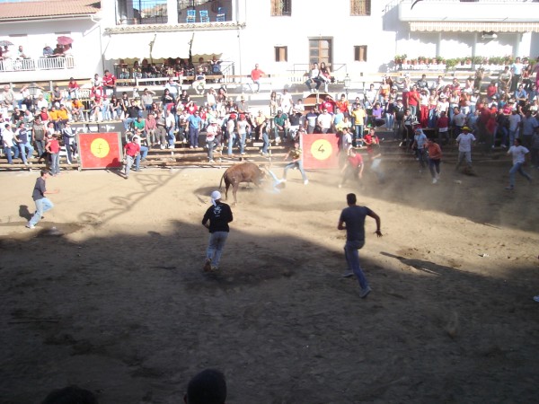Toros en La Peza 2005
