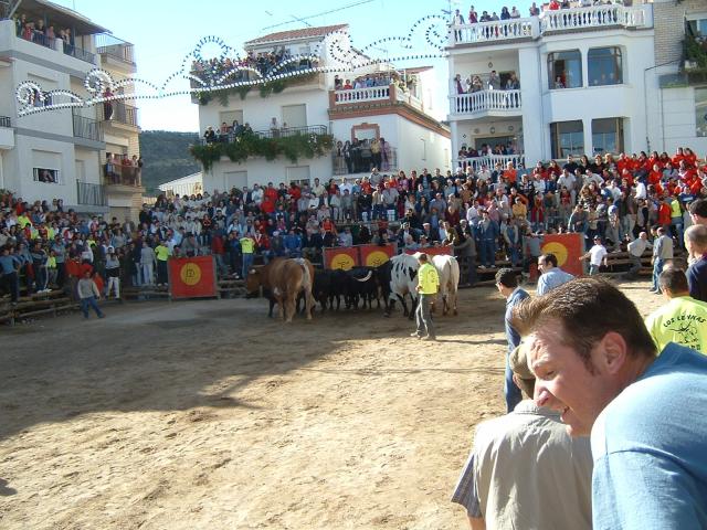toros La peza 2005
