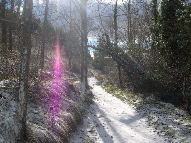 Camino nevadoluz de invierno