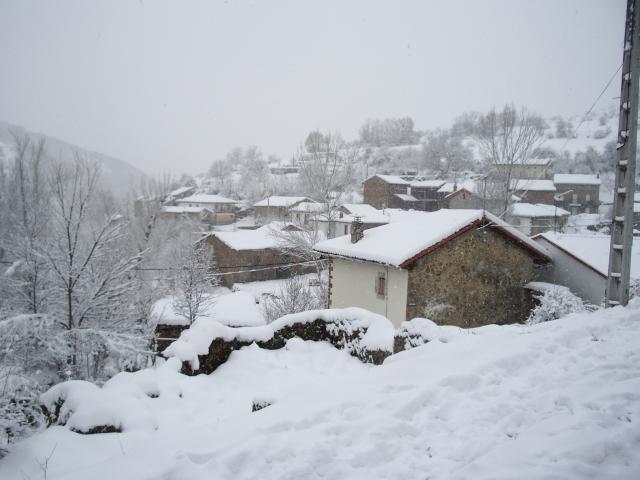 Nieve 2008