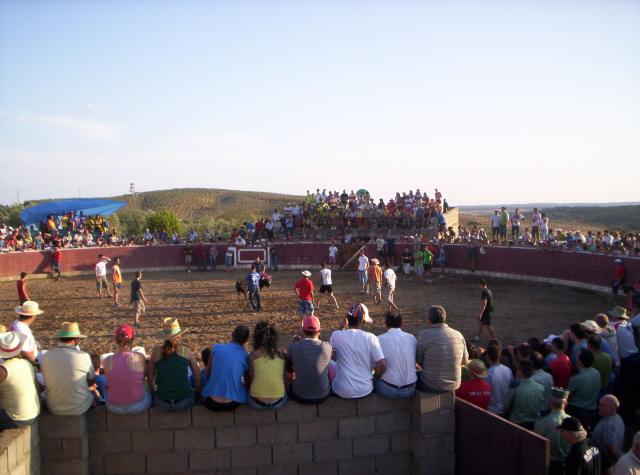 Toros San Ramon 2008