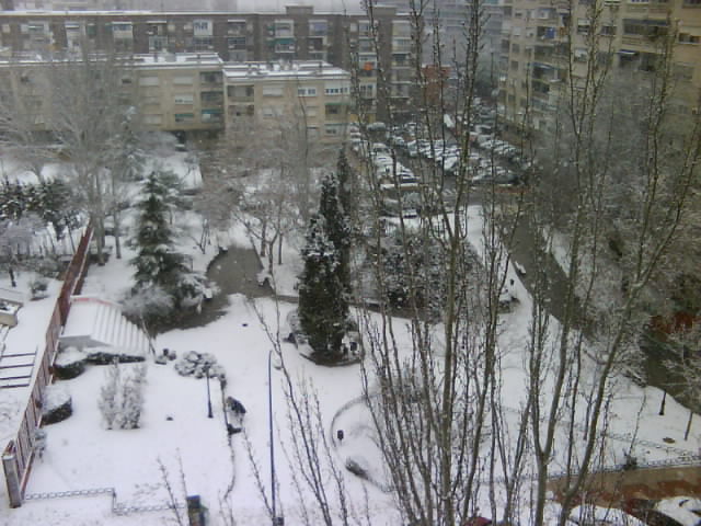 Nieve Enero 2009