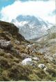 Picos de Europa 1970 - Covadonga