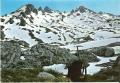 Picos de Europa 1970 - Covadonga Macizo de peña Sa