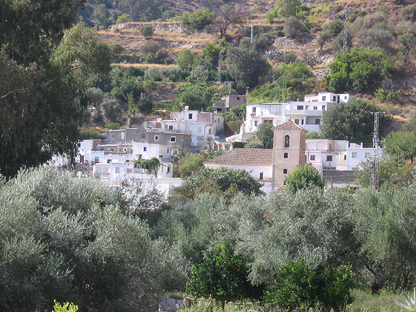 BAYACAS, escondido entre olivos y naranjos