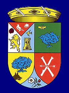 escudo de belvis