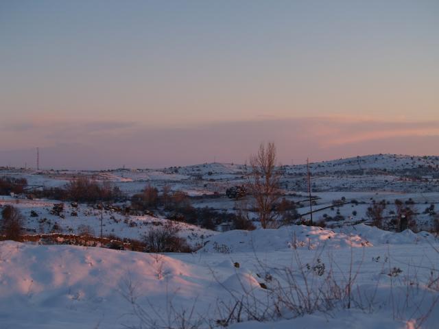 nevada 2009