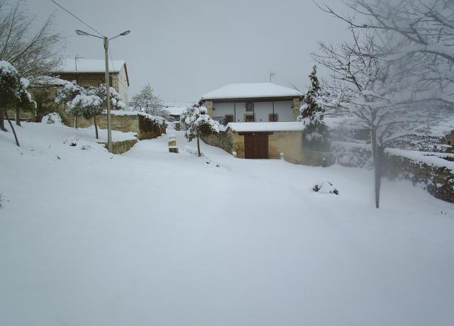 nevadas invierno del 2009