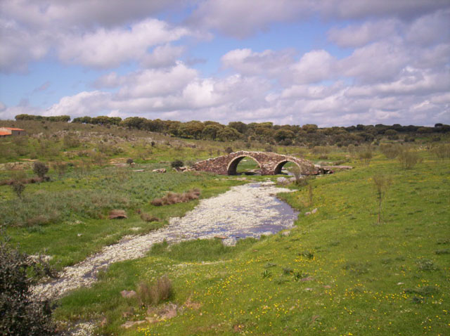 un puente de torrecilas de la tiesa