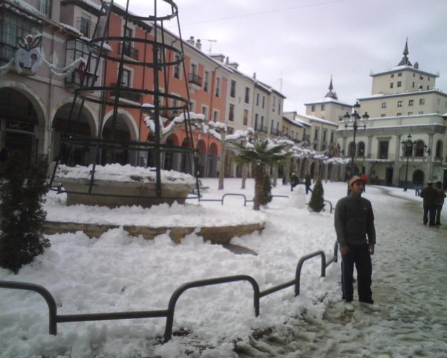 nevada enero 2009