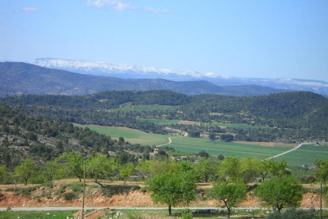 Sierra Palomera desde el Castell