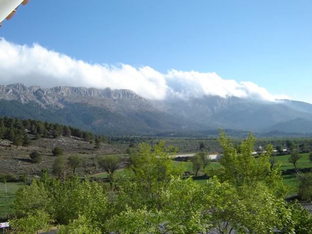 Sierra maria
