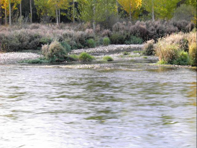 rio orbigo