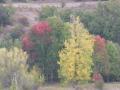 acisa de las arrimadas-colores del otoño