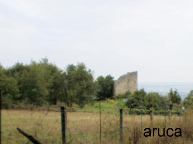 castillo en ruinas