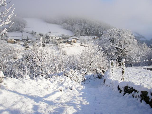 Navelgas invierno 2005-2006