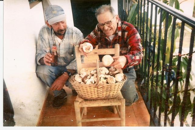 papa y pelicano con sus grumelos(E.P.D)