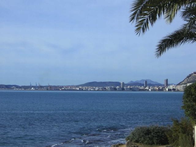 Baha-Alicante