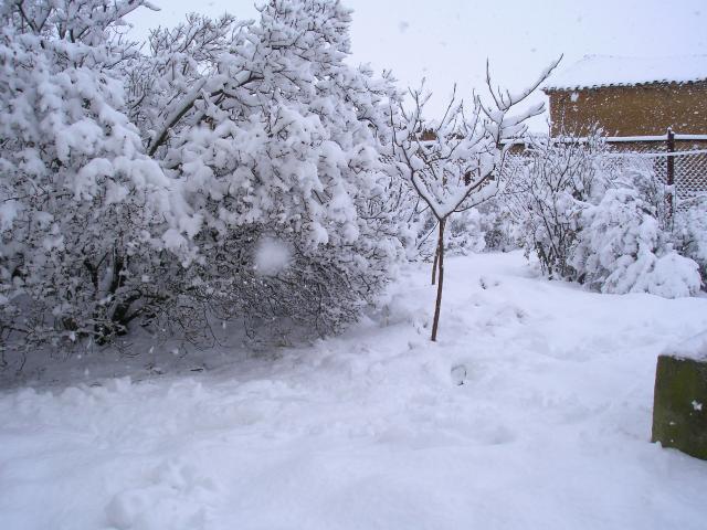 nevada en Santa Mara