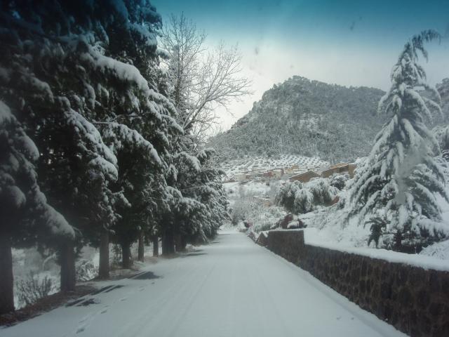Nieve 2009