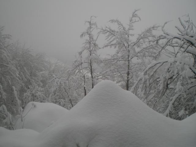 La nieve-2009