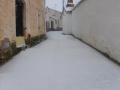 Calle nevada