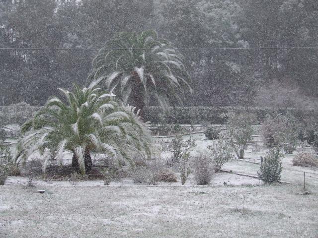 Nieve en Chandavila