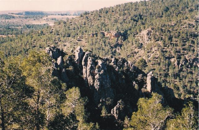 Vista sur del Castil de Olivas (Engudanos)