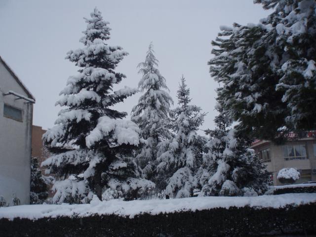 nevada febrero 2009