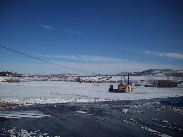 nevada 2010