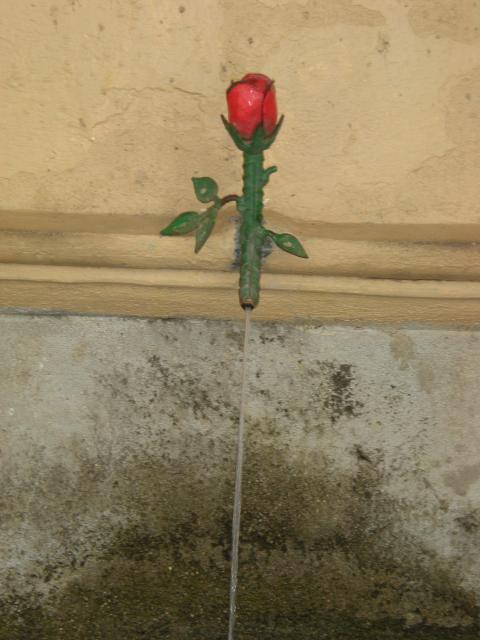 la rosa
