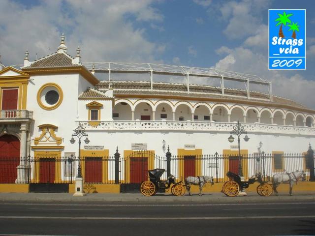 Plaza de toros la Maestranza
