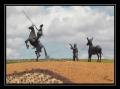 Don Quijote y Sancho