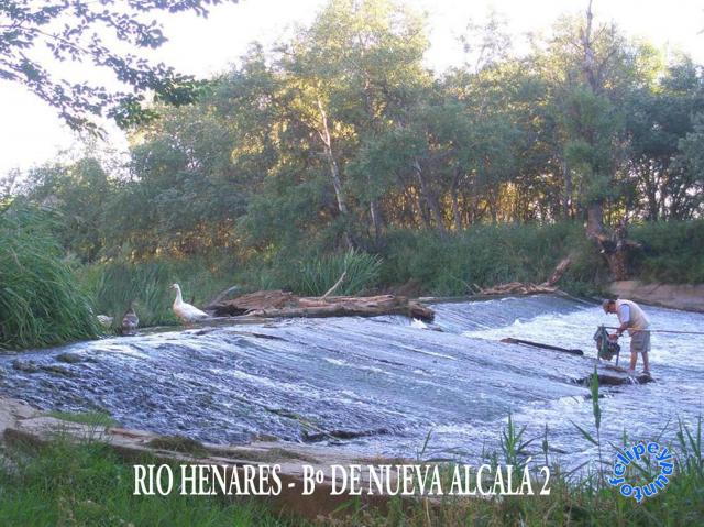 Rio Henares pasando por el B de Nueva Alcal - 2-