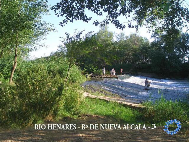 Rio Henares 3