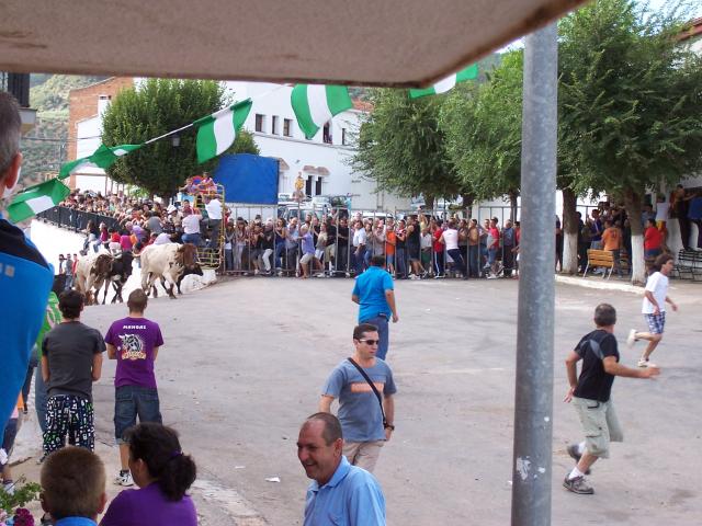 fiestas 2010