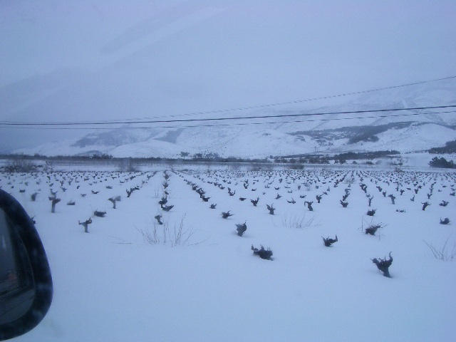 llano de laujar nevado 2005