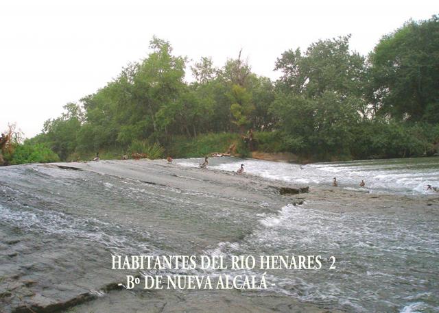Habitantes del Rio Henares 2