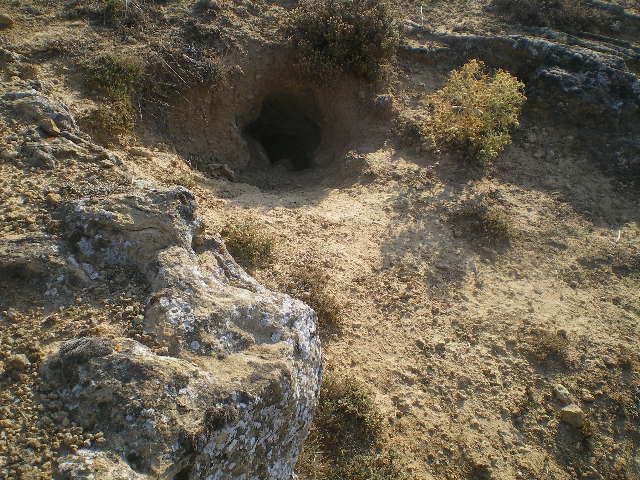 Cueva del raposo 