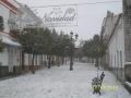 nevada enero 2010
